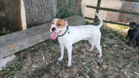 Adopter Tcheky