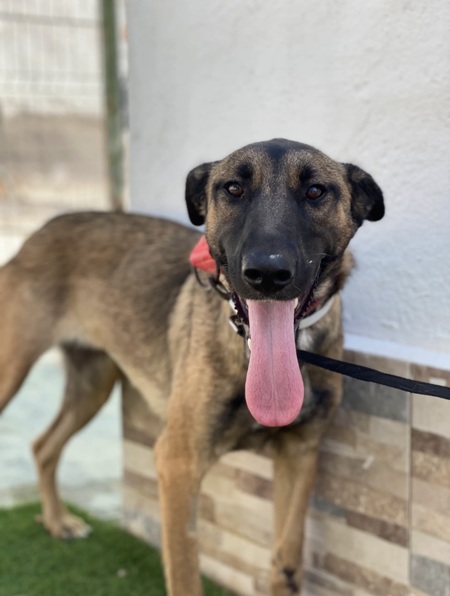 Adopter Beatriz
