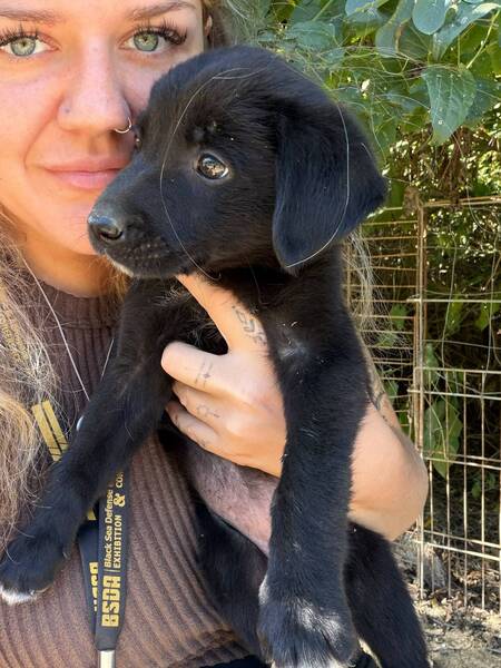 Adopter Maddy