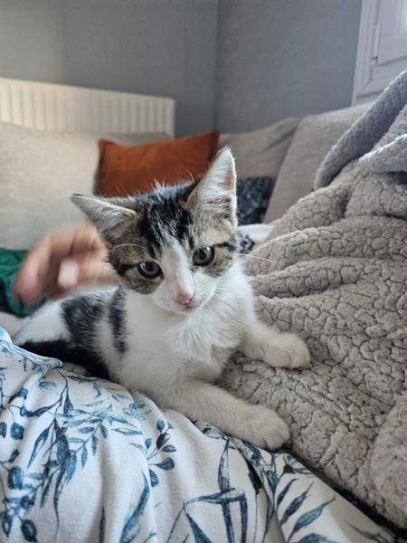 Adopter Bianca