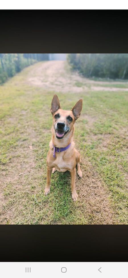 Adopter Malia