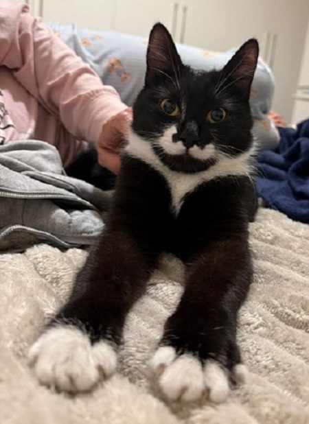 Adopter Pepper