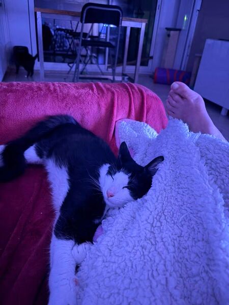 Adopter Bolt 
