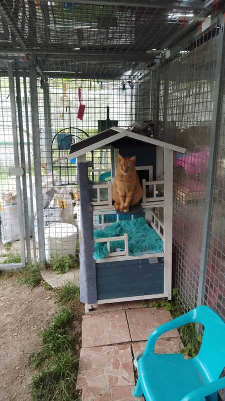 Adopter LILAS