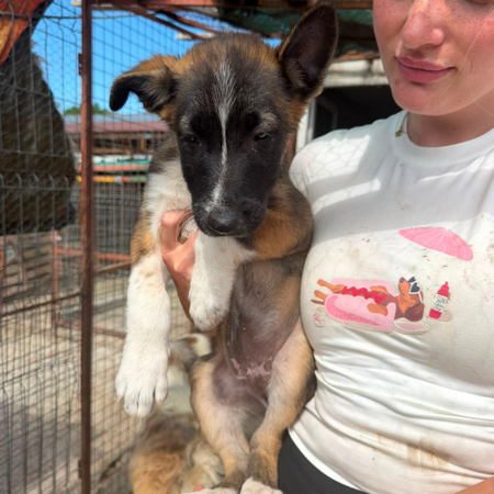 Adopter LEXIE