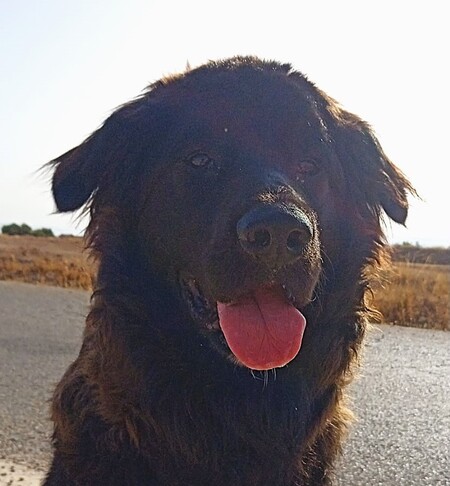 Adopter Zero