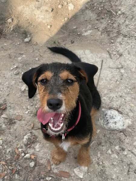 Adopter Belyne