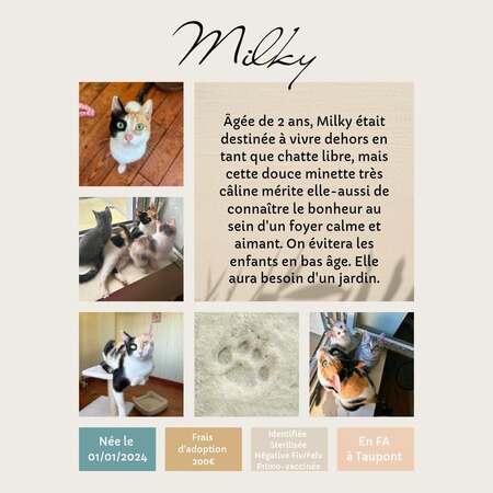 Adopter Milky