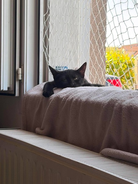 Adopter Winnie