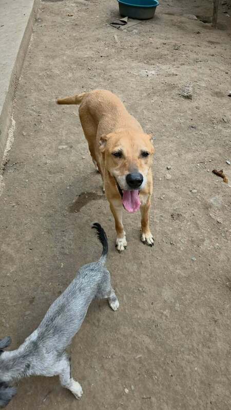 Adopter Nana
