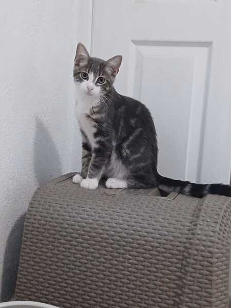 Adopter BONNIE et CLYDE
