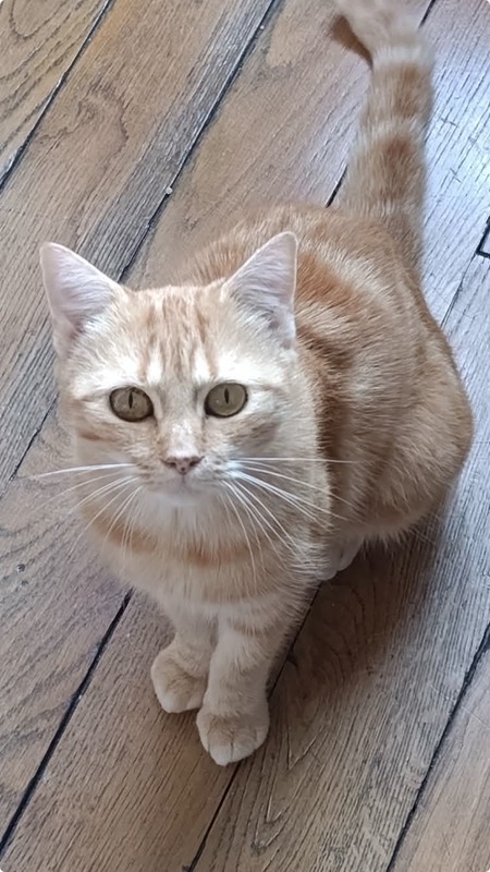 Adopter Olga