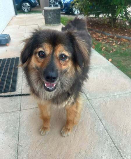 Adopter Carla