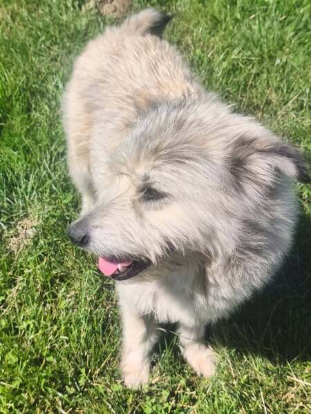 Adopter kiki
