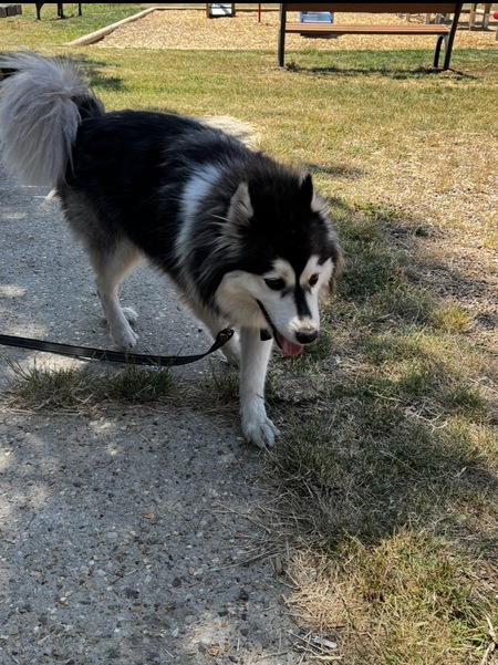 Adopter Tammy 