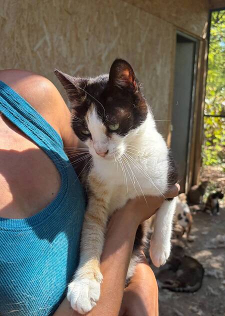 Adopter Kathy