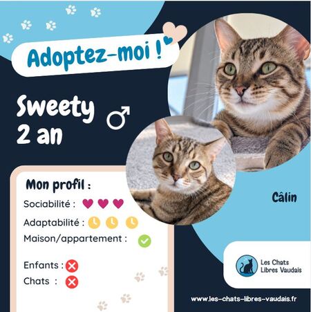 Adopter Sweety