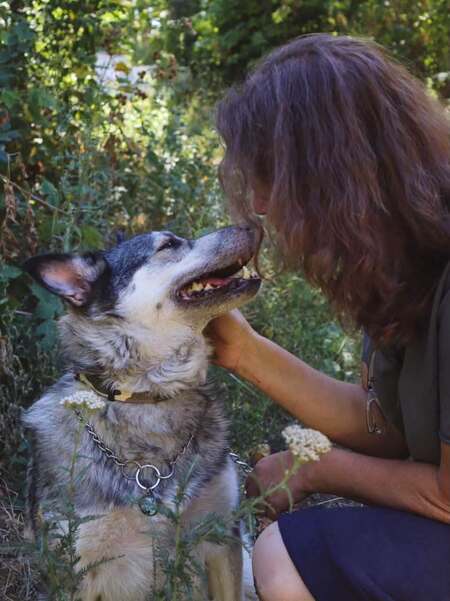 Adopter Amie