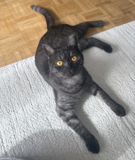 Adopter EULALIE