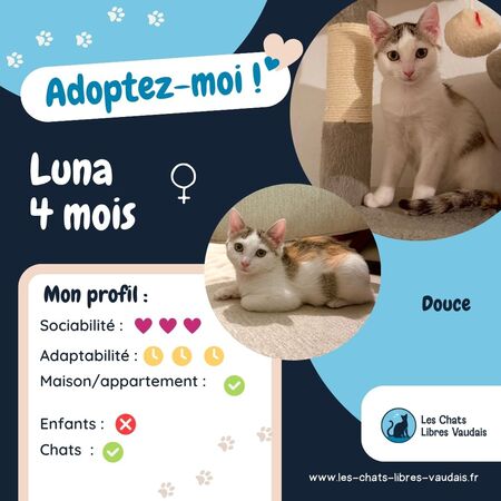 Adopter Luna