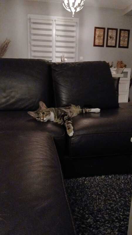Adopter Athos