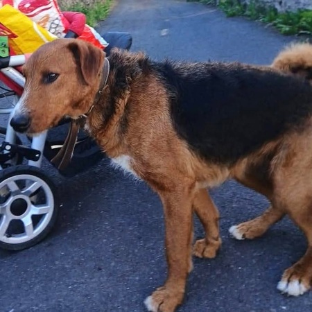 Adopter THULITA