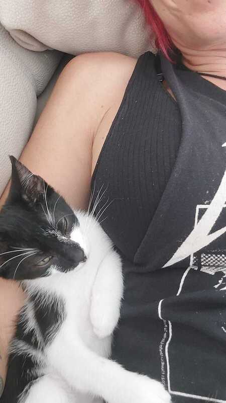 Adopter Rayo et Cosmo