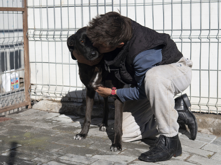 Adopter Moorea