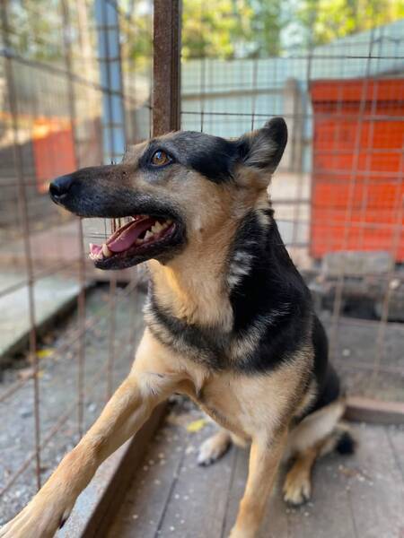 Adopter Masha