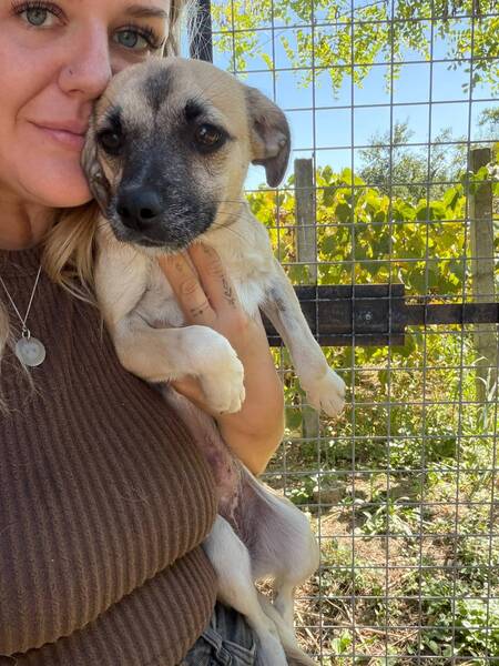 Adopter Gaïa
