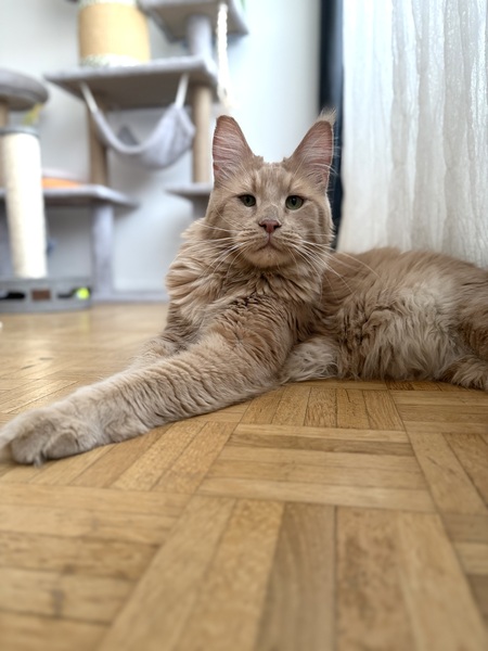 Adopter ROUCOOL
