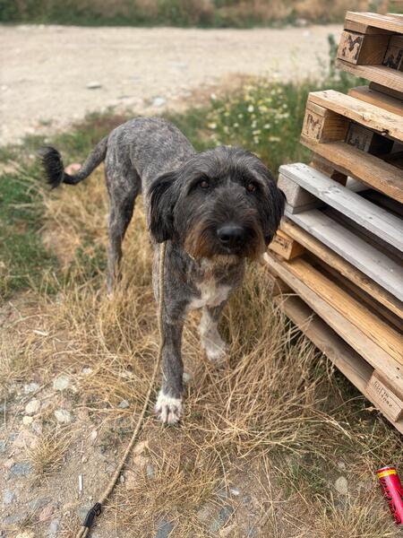 Adopter WINONA