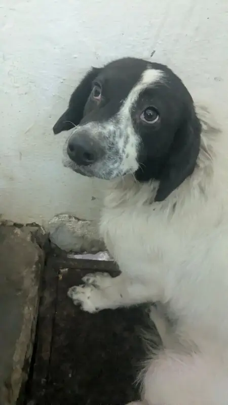 Adopter Lucia