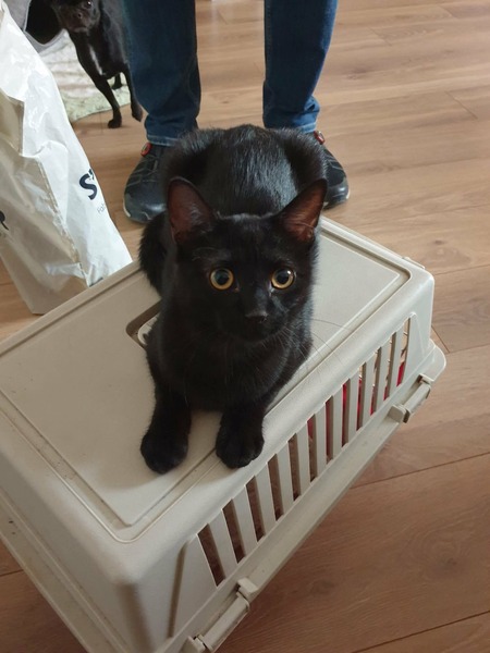 Adopter Marie-Oceane 