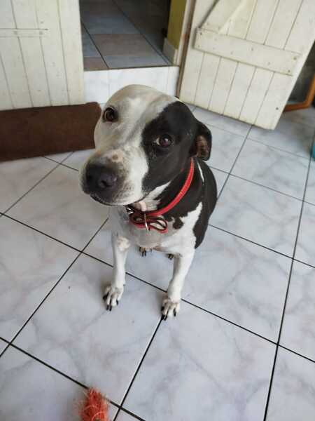 Adopter Métisse