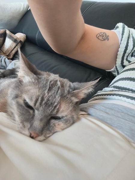 Adopter Boulette