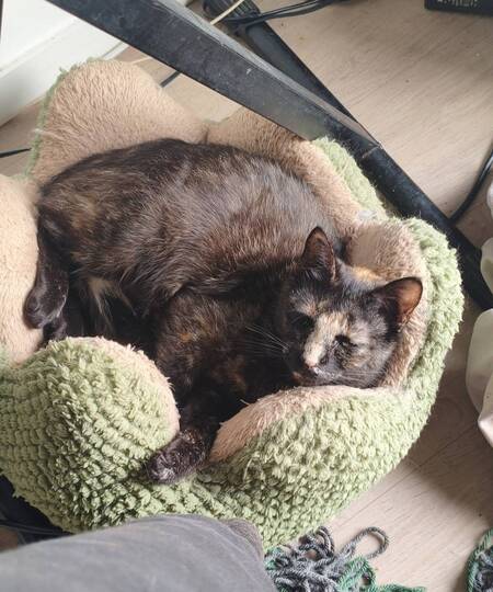 Adopter Hilda 