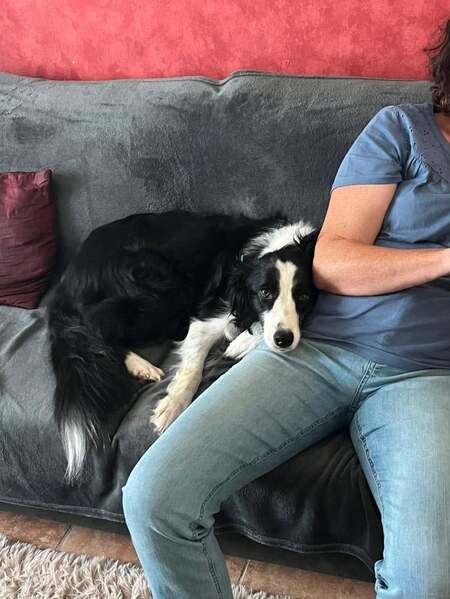 Adopter Meadow