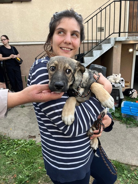 Adopter Linoy