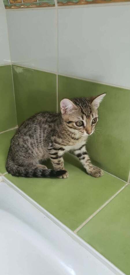 Adopter Boudoir