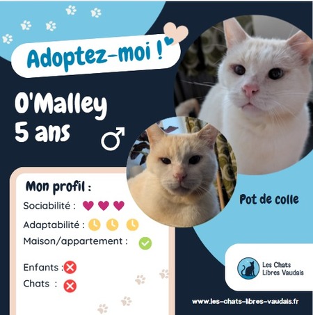 Adopter O’Malley