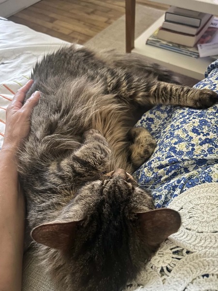 Adopter Sally