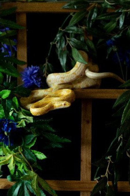 Adopter Bretzel