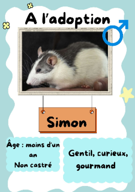 Adopter Simon