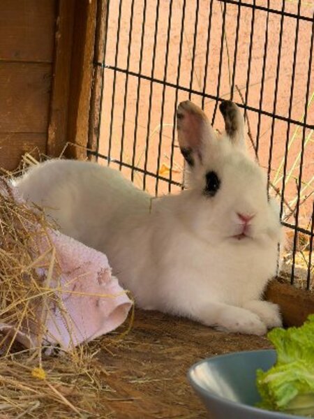 Adopter Zumba
