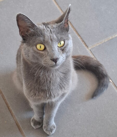Adopter BUTANE