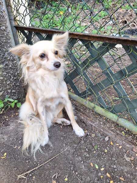 Adopter LINDSAY ET KEVIN 