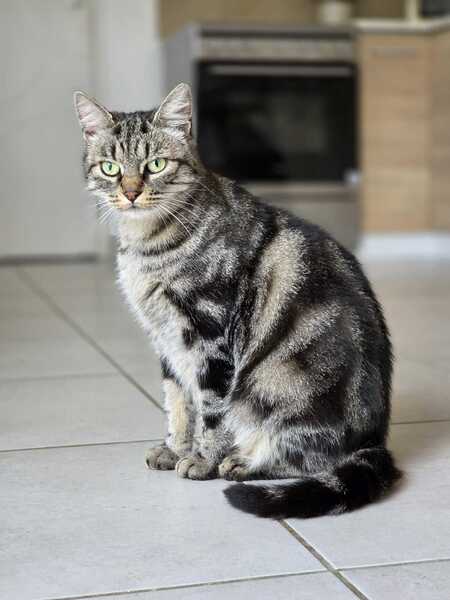 Adopter Bryony