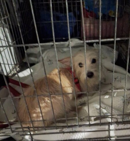 Adopter Valeria