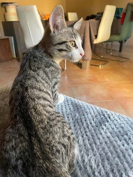 Adopter OLYMPE